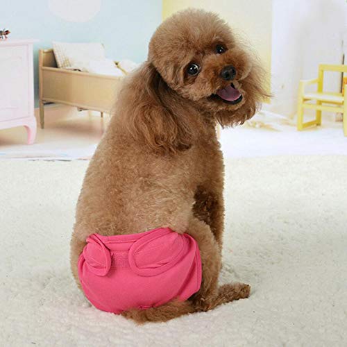 Oyccen 2 Piezas Pañales Reutilizables Pantalones Fisiológicos para Perros Pequeños Medianos y Grandes Ropa Interior Hembra Mascota Bragas Sanitarias Higiene Pañal