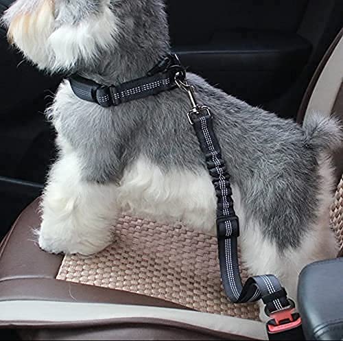 Pack de 2 Cinturon De Seguridad para Perros con Guante Quita pelos Mascota - Cinturon Perro Coche - Correa Perro Coche con Elástico y Fuerte Mosquetón para Trasportar Mascotas - Azul