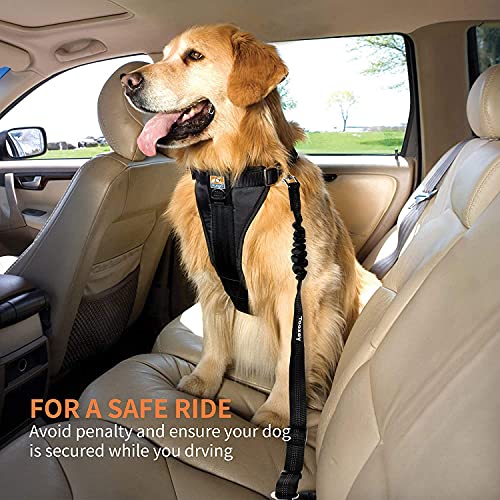 Pack de 2 Cinturon De Seguridad para Perros con Guante Quita pelos Mascota de Regalo - Cinturon Perro Coche - Correa Perro Coche con Elástico y Fuerte Mosquetón para Trasportar Mascotas (Set Negro)