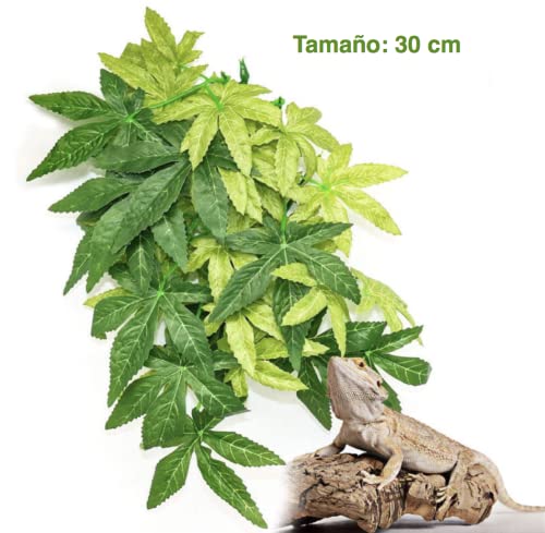 Pack de 3 Plantas para terrarios de Reptiles,Colgantes con Ventosa,Ideales para terrarios de Camaleones, Serpientes, lagartos, Tortugas y Todo Tipo de Reptiles. Juego de 3 Plantas para terrarios.