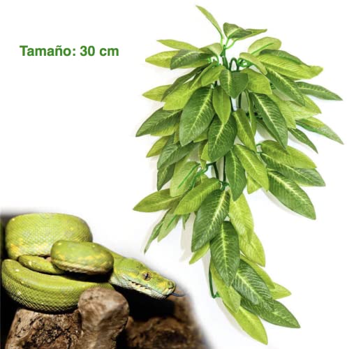 Pack de 3 Plantas para terrarios de Reptiles,Colgantes con Ventosa,Ideales para terrarios de Camaleones, Serpientes, lagartos, Tortugas y Todo Tipo de Reptiles. Juego de 3 Plantas para terrarios.