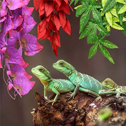 Pack de 3 Plantas para terrarios de Reptiles,Colgantes con Ventosa,Ideales para terrarios de Camaleones, Serpientes, lagartos, Tortugas y Todo Tipo de Reptiles. Juego de 3 Plantas para terrarios.