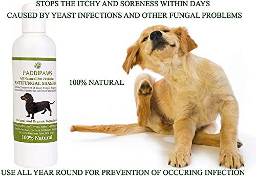 PADDIPAWS Champú antifúngico y antibacteriano para perros 100% natural, infecciones por levaduras, tiña, dermatitis, pioderma, ingredientes naturales seguros – Sin parabenos ni SLS – 500 ml