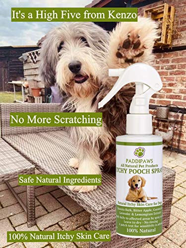 PADDIPAWS - Spray para Perro con picor 100% Natural, Alivio rápido de la picazón y la incomodidad, calmante y sin picaduras, Ingredientes Naturales Seguros, no tóxicos y sin parabenos