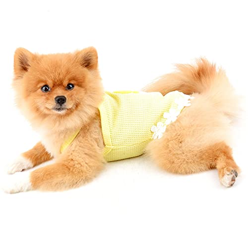 PAIDEFUL Camisas para Perros Pequeños Medianos Gatos Niñas Chaleco de Algodón Suave Tirantes Camisetas sin Mangas de Punto Transpirables Cachorro Chihuahua Ropa de Verano para Mascotas Amarillo S