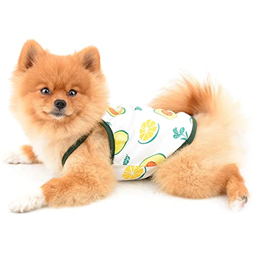 PAIDEFUL Camisas para Perros Pequeños Medianos Gatos Niñas Chaleco de Algodón Suave Tirantes Camisetas sin Mangas Transpirables Cachorro Chihuahua Ropa de Verano para Mascotas Palta L