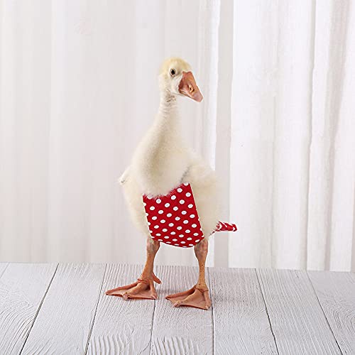 Pañal de ganso de pollo y pato lavable para mascotas pajarita Pañales para gallinas, gallinas, aves de corral, 1 paquete (L, verde)