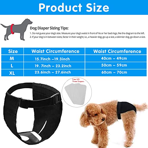 Pañales para Perro, Pantalones Protectores para Perros, Pantalón Sanitario para Perro con 3 Toallas Sanitarias, Braguitas para Perros de M a XL, Pantalón Sanitario para Perros Pequeños y Medianos (XL)