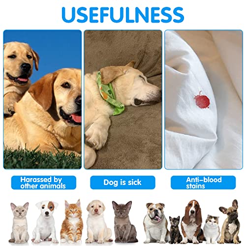 Pañales para Perro, Pantalones Protectores para Perros, Pantalón Sanitario para Perro con 3 Toallas Sanitarias, Braguitas para Perros de M a XL, Pantalón Sanitario para Perros Pequeños y Medianos (XL)