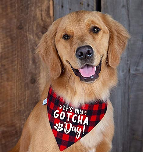 Pañuelo de cumpleaños para perro, pañuelo de adopción de perro, para niños y niñas, perros, gatos, baberos, accesorios para regalo de cumpleaños de mascotas (rojo)