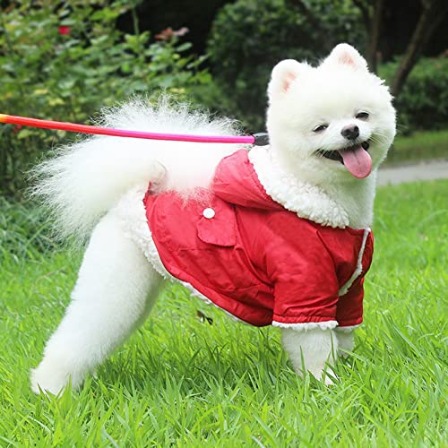 Papá Noel Disfraz Perro Ropa Navidad Para Mascotas Papá Noel Montar Mascota Disfraces fe Cosplay Fiesta Vestir Perros Gatos Traje Para Perros Pequeños Medianos Grandes Gatos A,L