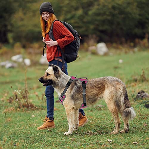 Pattepoint Arnés Perros para Caminar, Easy Walk Arnes Perro, Chaleco Ajustable para Mascotas con Asa, Arnes Perro antitirones para Perros Medianos Arnes Perro Grande Rosado - L