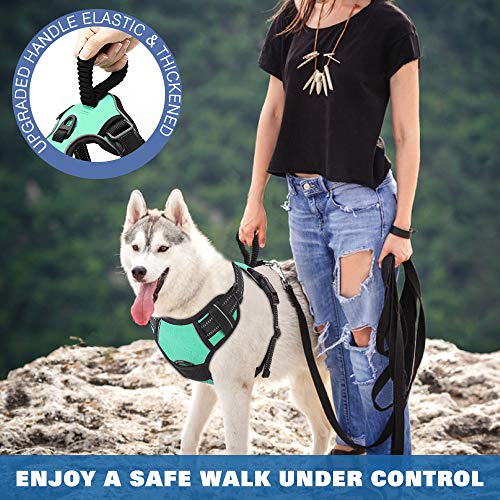 Pawaboo Arnés Adjustable para Perro, Chaleco Acolchado Refuerzo Arnés Oxford Suave Cómodo Chaleco de Viaje con Asa Anti-tirando para Entrenamiento al Aire Libre y Caminar, Tamaño M - Azul