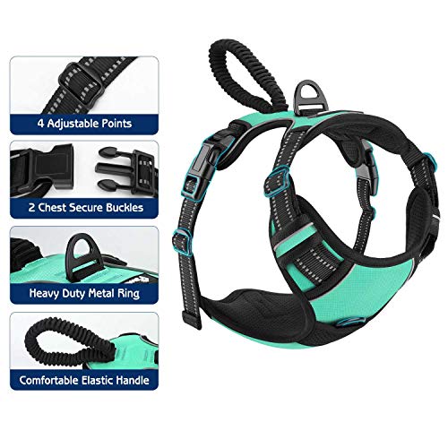 Pawaboo Arnés Adjustable para Perro, Chaleco Acolchado Refuerzo Arnés Oxford Suave Cómodo Chaleco de Viaje con Asa Anti-tirando para Entrenamiento al Aire Libre y Caminar, Tamaño M - Azul