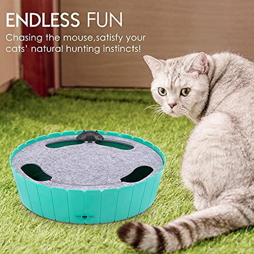 Pawaboo Juguete Escondido Electrónico para Gato, Imita la Escena Real del Gatito y el Ratón con Interruptor de Control, Herramienta de Entrenamiento para Gatito - Lago Verde