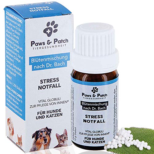 Paws & Patch - Flores de Bach, para perros y gatos, estrés, emergencias, tranquilizantes vegetales antes de visitar veterinarios, viajes, después de accidentes, en Nochevieja