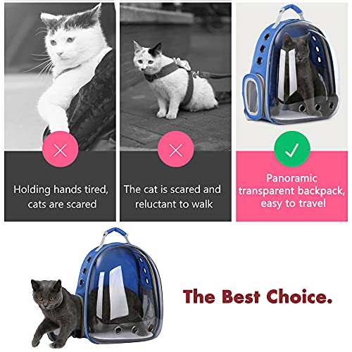 Pawstrip - bolsa de transporte para gatos para cachorros y gatitos, portátil, impermeable, transparente, transpirable, mochila frontal para gatos, jaula para mascotas de trekking (azul)