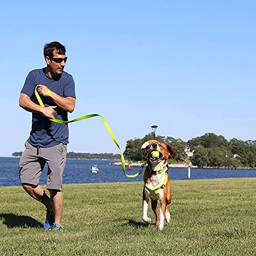 Pawtitas Arnes de Entrenamiento Chaleco Pechera para Perros y Cachorros arnes de adiestramiento Ideal para Caminar Perros Cachorros arnes Extra pequeño Color Verde