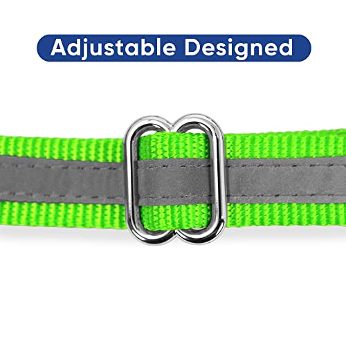 Pawtitas Collar de Perro de Cadena Martingale Reflectante Collar para obediencia Talla Grande Color Verde