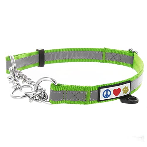 Pawtitas Collar de Perro de Cadena Martingale Reflectante Collar para obediencia Talla Mediana Color Verde