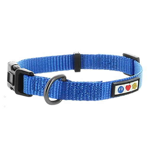 Pawtitas Collar para Perros Ideal para el adiestramiento de tu Mascota, Collar de Perro cómodo y Duradero con Anillo de Metal para Etiqueta de Nombre - Collar Color Azul XS