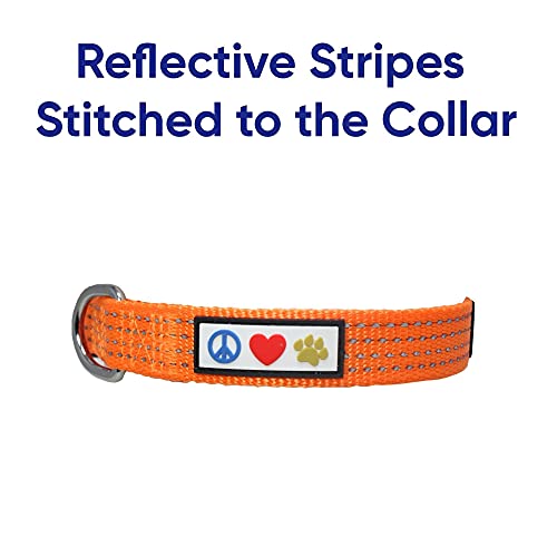 Pawtitas Collares para Perros Reflectante Adaptable | Collar Perro y Cachorro Ajustable y Resistente | Collar para Perros Ideal para Entrenamiento | Collar para Perro Color Naranja - Extra Pequeño