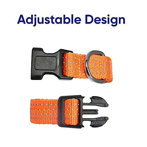 Pawtitas Collares para Perros Reflectante Adaptable | Collar Perro y Cachorro Ajustable y Resistente | Collar para Perros Ideal para Entrenamiento | Collar para Perro Color Naranja - Extra Pequeño