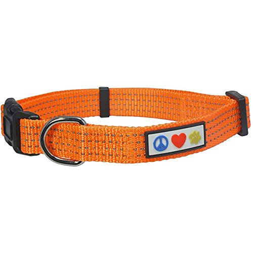 Pawtitas Collares para Perros Reflectante Adaptable | Collar Perro y Cachorro Ajustable y Resistente | Collar para Perros Ideal para Entrenamiento | Collar para Perro Color Naranja - Extra Pequeño