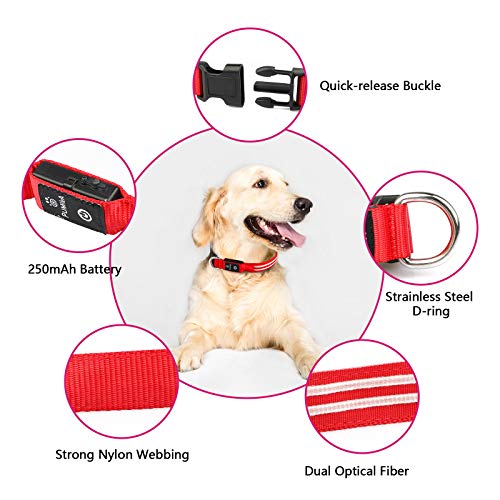 PcEoTllar Collar Luminoso para Perros Recargable LED Collar para Perros 3 Modos de Iluminación Impermeable Ajustable Súper Brillante para Perros Pequeños Medianos Grandes Caminata Nocturna - Rojo L