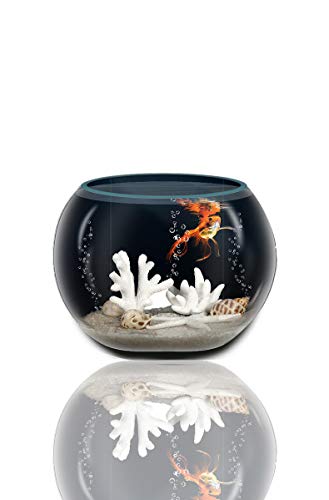 Pecera de Cristal Redonda 16 Cm de Diámetro, pecera esférica, Acuario Pequeño, Acuario para Peces, acuarios y peceras Completa