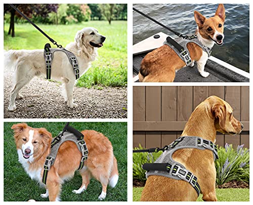 Pecute Arnés para Perros, Arnes para Mascotas Sin Tirón con 2 Clips para la Correa, Chaleco Acolchado Suave Ajustable para Perros, Chaleco Oxford Reflectante para Mascotas