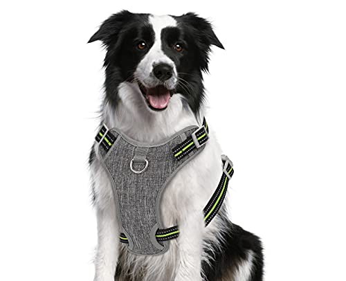 Pecute Arnés para Perros, Arnes para Mascotas Sin Tirón con 2 Clips para la Correa, Chaleco Acolchado Suave Ajustable para Perros, Chaleco Oxford Reflectante para Mascotas