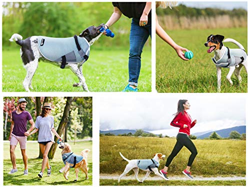 Pecute Chaleco refrigerante para Perros Chaleco de Enfriamiento para Perros y Gatos de Verano Cómodo Transpirable para Mascotas Pequeños, Medianos y Grandes, Apto para Interior y Exterior (M, Azul)