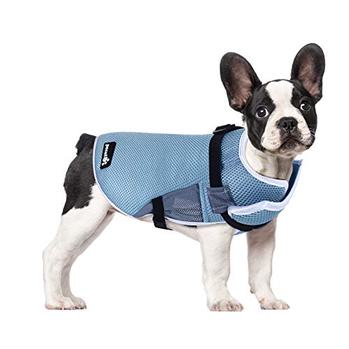 Pecute Chaleco refrigerante para Perros Chaleco de Enfriamiento para Perros y Gatos de Verano Cómodo Transpirable para Mascotas Pequeños, Medianos y Grandes, Apto para Interior y Exterior (M, Azul)