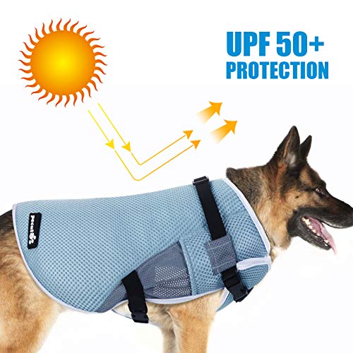 Pecute Chaleco refrigerante para Perros Chaleco de Enfriamiento para Perros y Gatos de Verano Cómodo Transpirable para Mascotas Pequeños, Medianos y Grandes, Apto para Interior y Exterior (S, Azul)