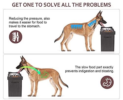 Pecute Comedero Elevado e Impermeable para Perros Medianos y Grandes con Estación de Almacenamiento, Fondo Antideslizante, Fácil de Limpiar