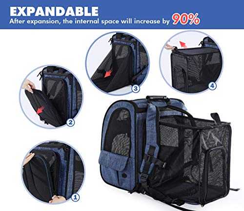 Pecute Transportin Gato Mochilas para Gatos y Perro Bolsa para Mascotas Expandible y Plegable, Carga Máxima 15 kg, para Viajar en Tren/automóvil/Restaurante/avión, Gris (Azul, Ventana de Malla)