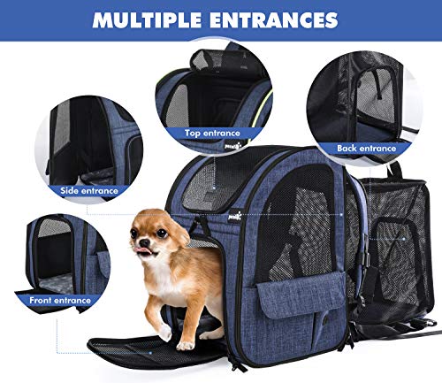 Pecute Transportin Gato Mochilas para Gatos y Perro Bolsa para Mascotas Expandible y Plegable, Carga Máxima 15 kg, para Viajar en Tren/automóvil/Restaurante/avión, Gris (Azul, Ventana de Malla)