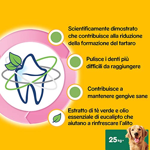 PEDIGREE Dentastix Fresh - Friandises pour Grand Chien, 112 bâtonnets à mâcher pour l'hygiène bucco-dentaire (4 x 28 bâtonnets)