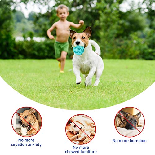 Pelota De Juguete Para Perros 2 PCS Mascotas Pelotas De Juguetes Para Perros, Bola De Comida Para Perros De Goma Resistente a Mordeduras No Tóxicas,Para Limpieza De Dientes, Bola De Entrenamiento IQ