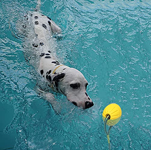 Pelota de Juguete para Perros con Cuerda, Pelota de Entrenamiento para Perros de Espuma, Pelota de Juguete para Perros Flotante, Juguete para Remolcar para Perros Pequeños, Medianos y Grandes (9cm)