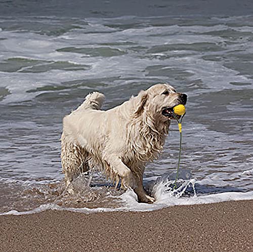 Pelota de Juguete para Perros con Cuerda, Pelota de Entrenamiento para Perros de Espuma, Pelota de Juguete para Perros Flotante, Juguete para Remolcar para Perros Pequeños, Medianos y Grandes (9cm)