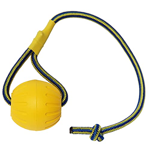 Pelota de Juguete para Perros con Cuerda, Pelota de Entrenamiento para Perros de Espuma, Pelota de Juguete para Perros Flotante, Juguete para Remolcar para Perros Pequeños, Medianos y Grandes (9cm)