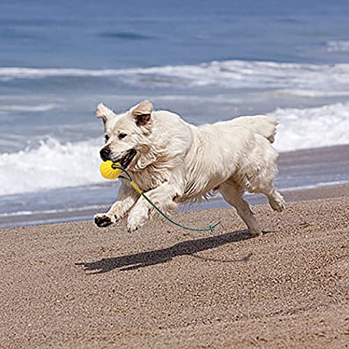 Pelota de Juguete para Perros con Cuerda, Pelota de Entrenamiento para Perros de Espuma, Pelota de Juguete para Perros Flotante, Juguete para Remolcar para Perros Pequeños, Medianos y Grandes (9cm)