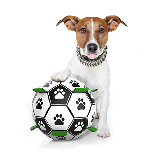 Pelota de Juguete para Perros,Seguro y Amigable com el Medio Ambiente,Juguete Interactivo Resistente al Agua y Desgastes,Juguete para Perros pequeños y medianos Pelota de Entrenamiento interactiva