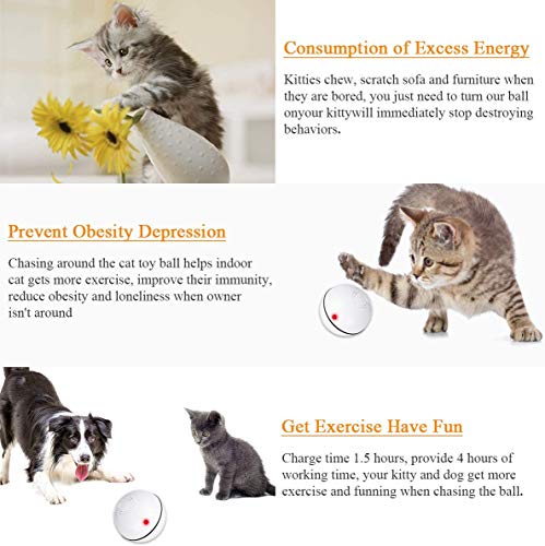 Pelota interactiva para gatos, detección de obstáculos, juguete para gatito con función de temporizador de luz LED recargable por USB, el mejor regalo de entretenimiento para tu gatito y cachorro