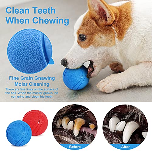 Pelota para Perros, Pelota de Caucho Natural para Perros, Pelota para Perro Indestructible Limpia Dientes, Juguete Interactivo Perro para Entrenamiento y Ejercicio (6CM-2Unidad)