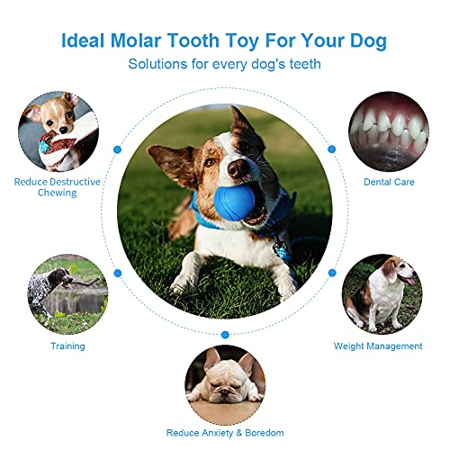 Pelota para Perros, Pelota de Caucho Natural para Perros, Pelota para Perro Indestructible Limpia Dientes, Juguete Interactivo Perro para Entrenamiento y Ejercicio