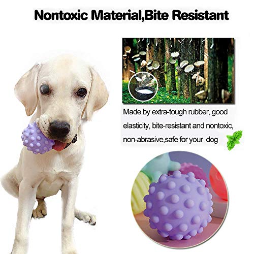 Pelota Perro Impermeable Bola Inflable Goma Juguete Perro,Pelotas de Juguetes interactivos para Perros, para Limpieza de Dientes y Entrenamiento