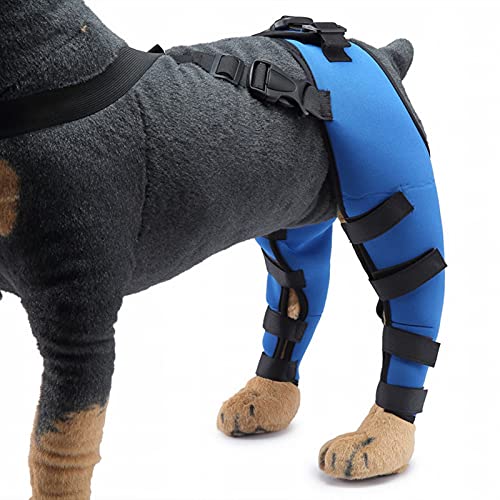 Peluquería de la rodilla para perros, llaves de perros para las piernas traseras Super Supportive, PET DOG DOCE Doble Pierna trasera Braques de apoyo, para curar las Blue-S